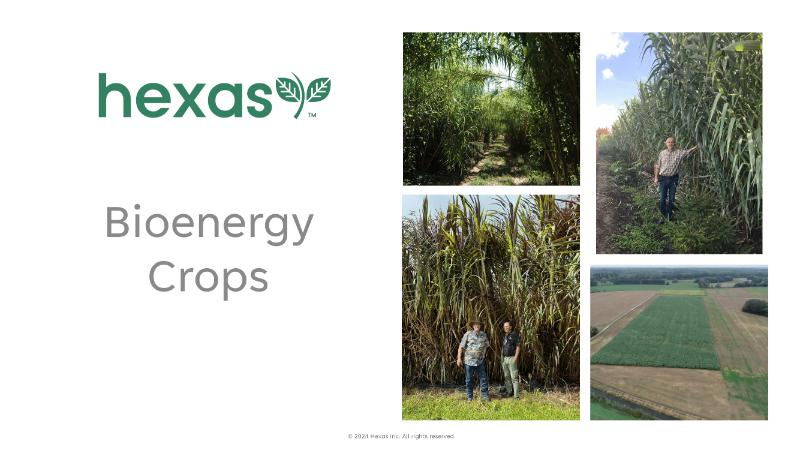 The Digest’s 2024 Multi-Slide Guide to Hexas Biomass