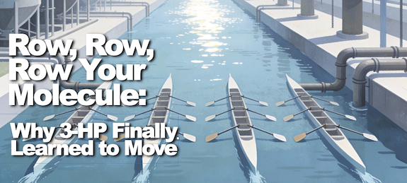 Row, Row, Row Your Molecule: Why 3-HP Finally Learned to Move